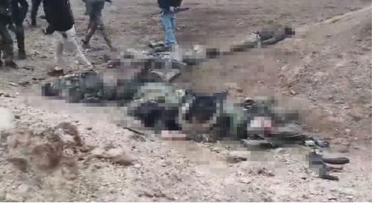 叙利亚科巴尼方向，到处都是库尔德游击小组，朱拉尼的手下又被打死了一地，身上的武器