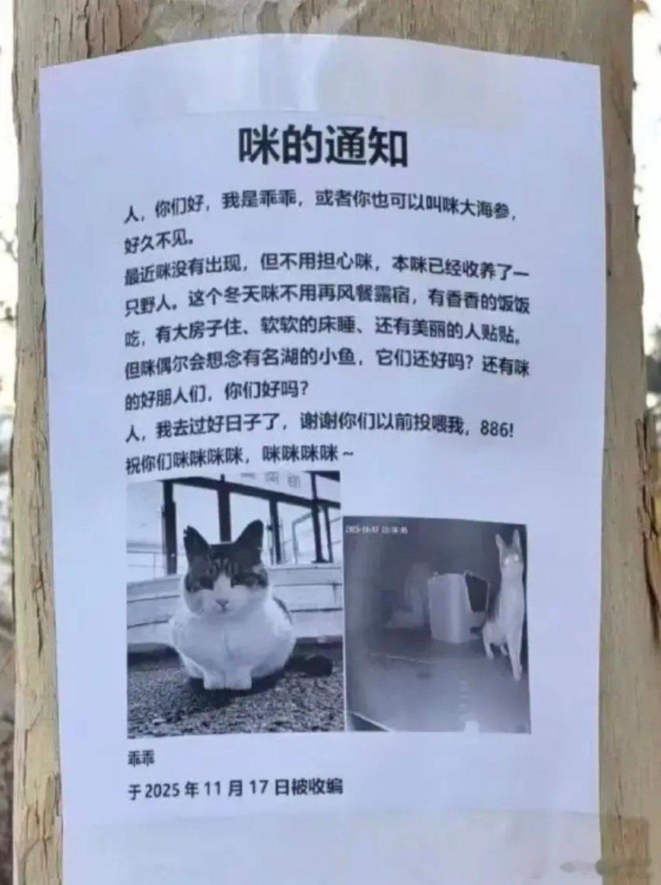 天呀暖暖，我每天上网就是为了看这个的😇