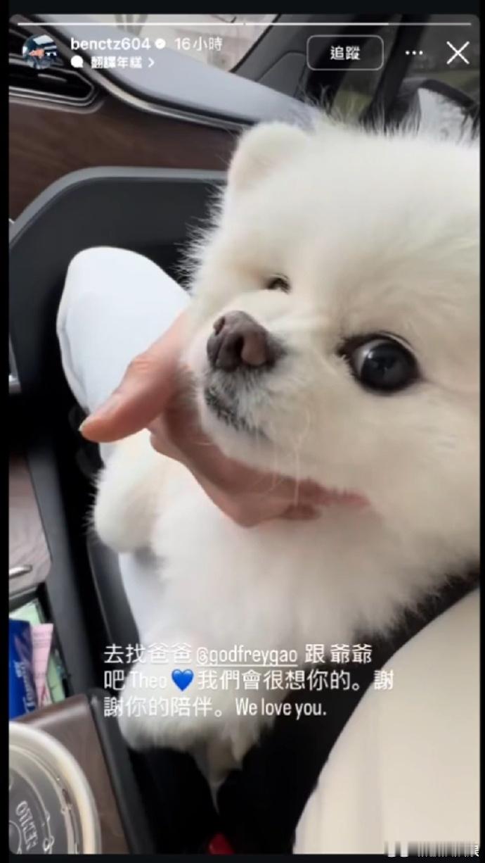 高以翔狗狗去世近日，高以翔朋友在社交平台发文称他的狗狗帝欧Theo去世了：“去