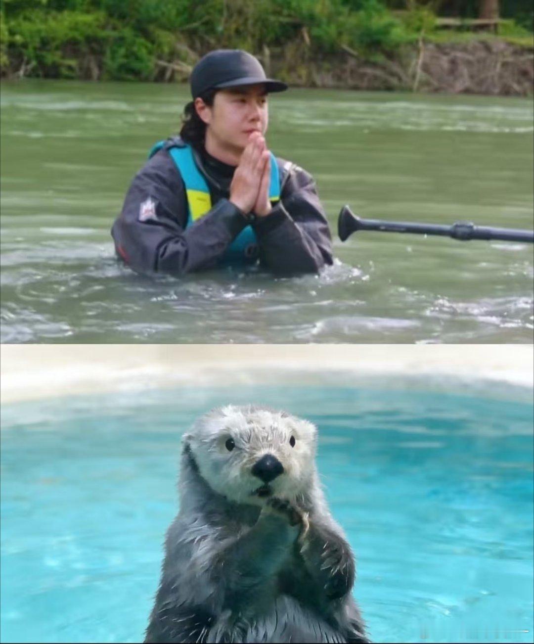 王一博和海獭的区别到底在哪