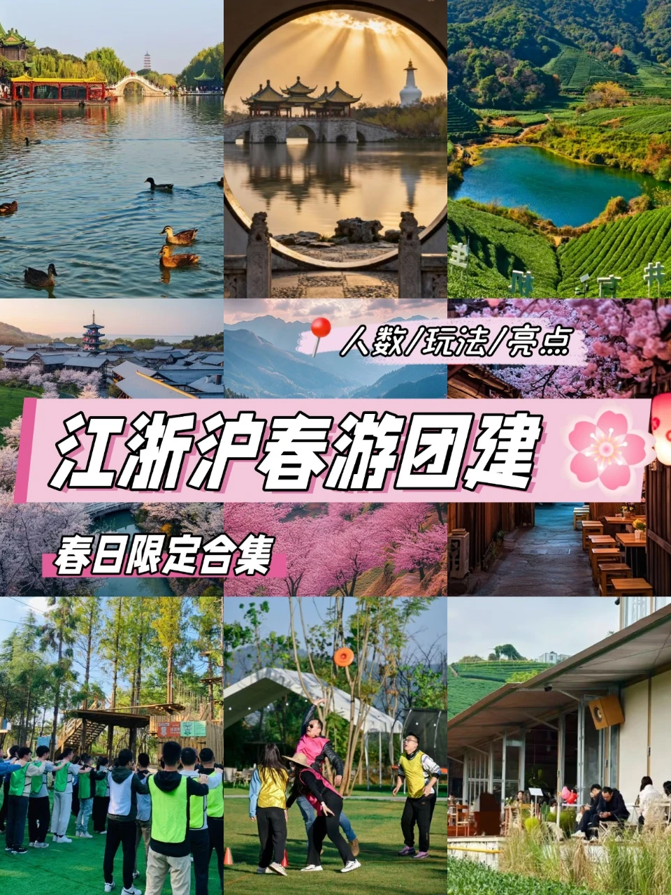 江浙沪春日限定团建合集！3-5月怎么玩✨