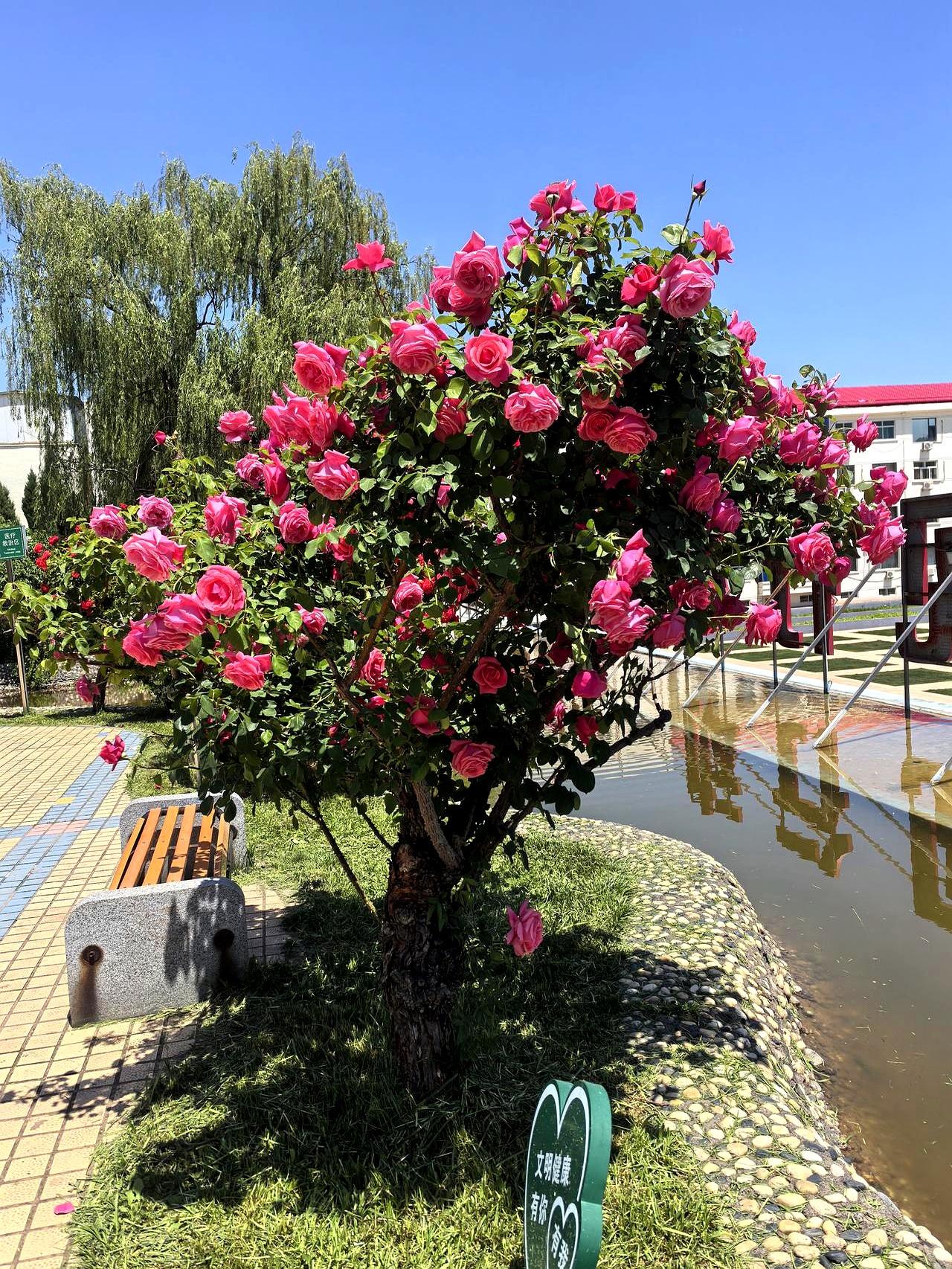 当他拎着箱子从市里局机关走出来时，38岁，副局长的牌子刚摘下。前段时间，他被调