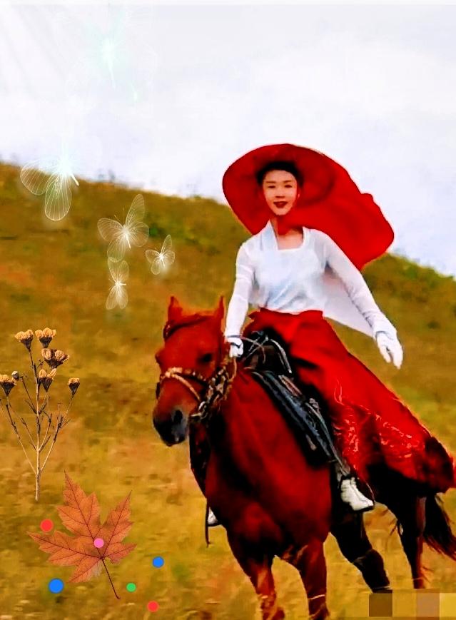 专业的事交给专业的人。这话听着多正确，多体面。可贺娇龙听完，就回了一句大实