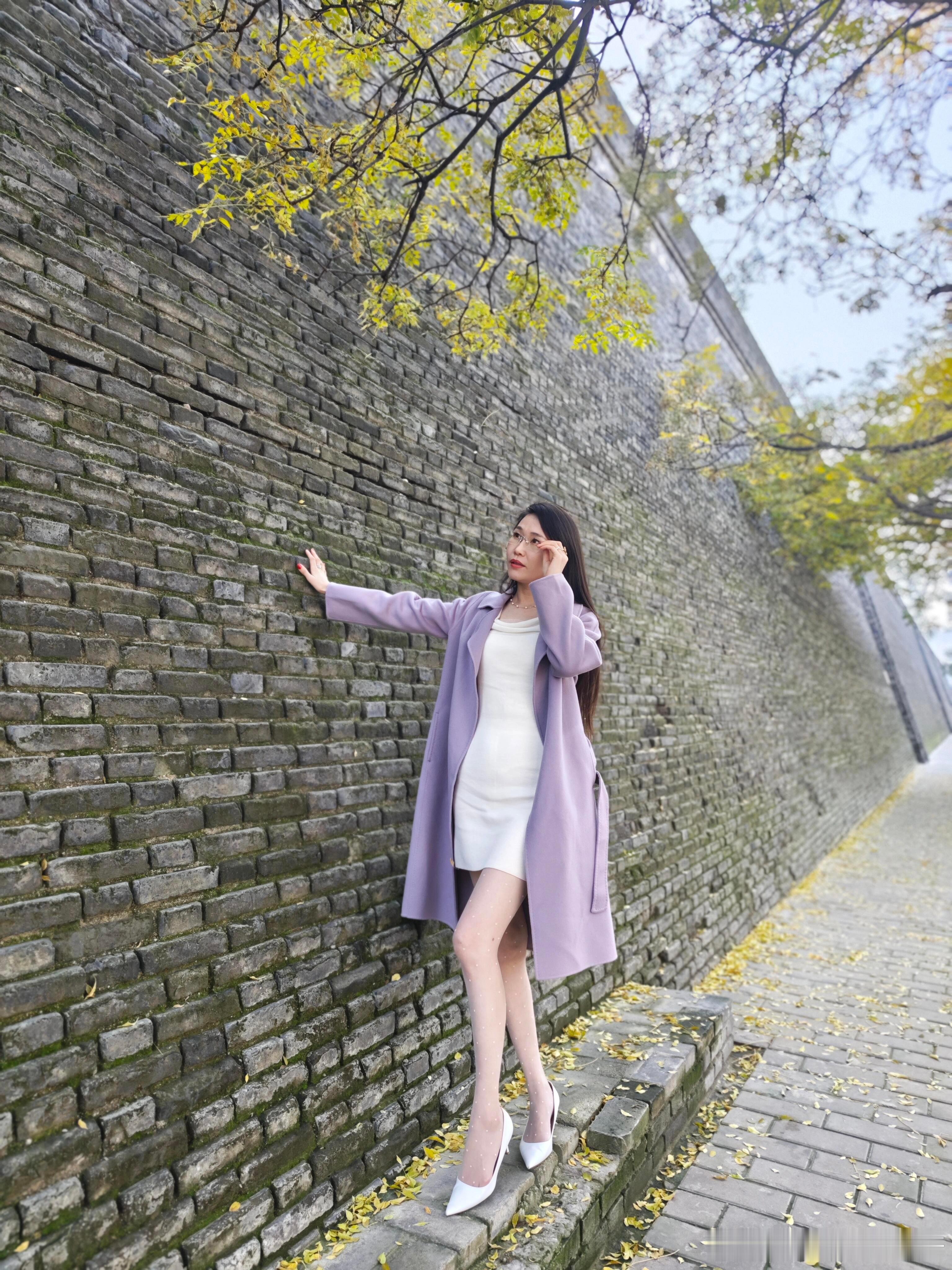 紫色的浪漫与城墙的厚重交织在一起~