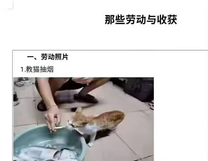 不要教坏小孩！​​​