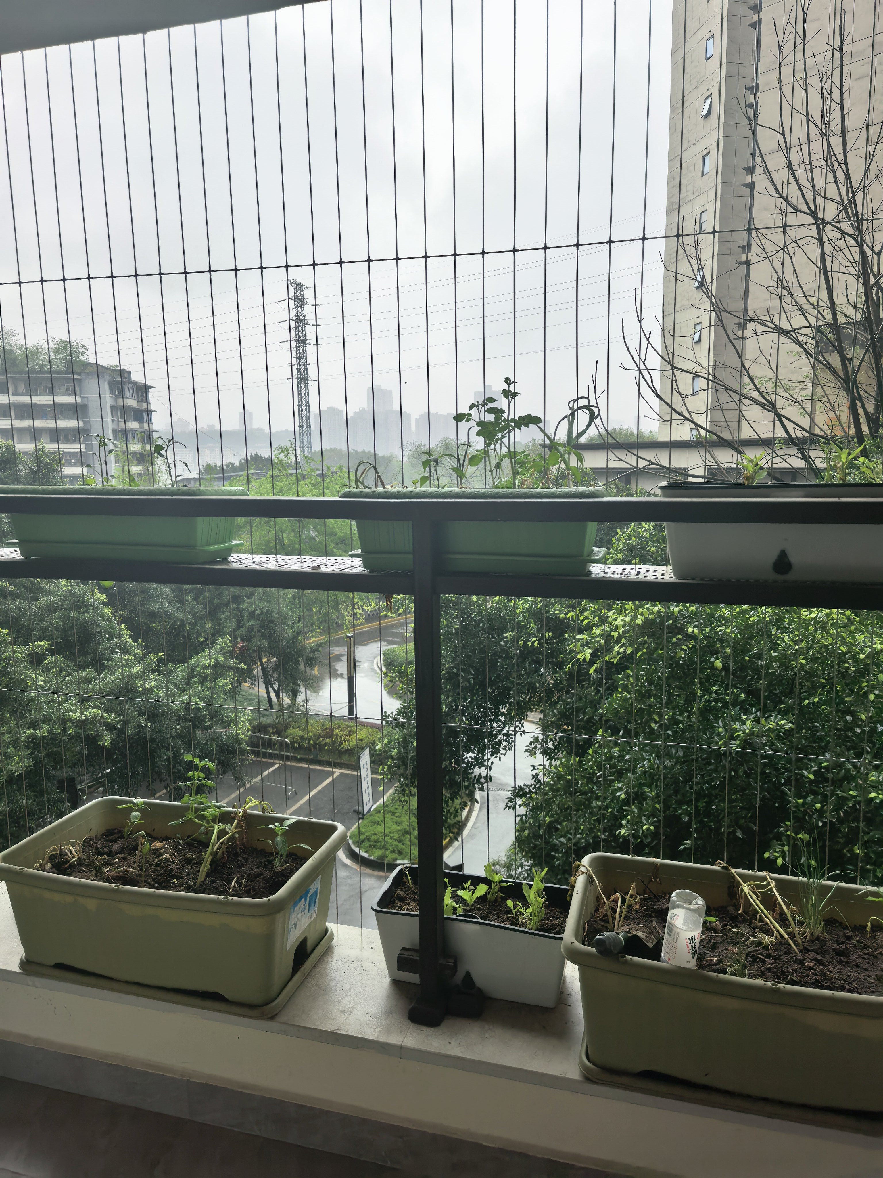 重庆天天下雨，那就去一个出太阳的地方吧。上午在重庆冷飕飕的，现在在这里热哄哄的