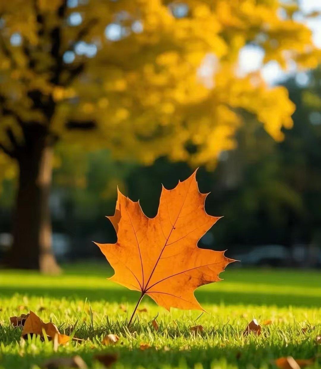 人这辈子，抓好两件事就够了：搞钱和搞自己活到中年才慢慢明白，人生哪有那么多