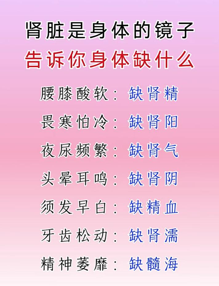 腰膝酸软、夜尿多，分清肾精、肾阳、肾气不足