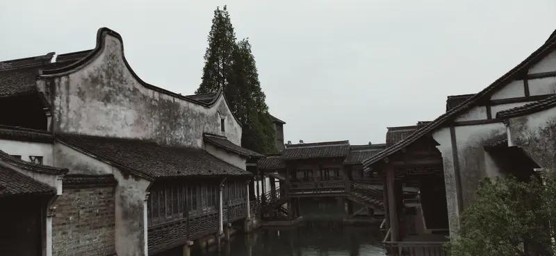 今年春天最想实现的心愿今年春天，我最想实现的心愿就是去一趟江南古镇。想象着漫步