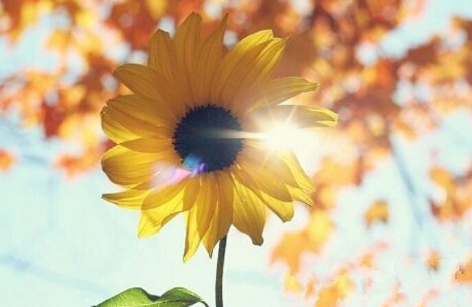 年底了，好消息不断！房贷贴息政策正在路上（据说降到2%以下），国补又定调了：明