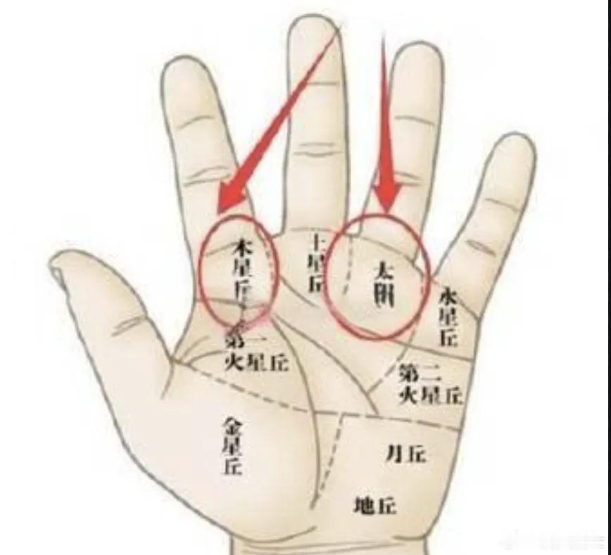 手相看求财；观察手指的根部，食指的根部木星丘和无名指根部太阳丘，此处微微隆起，观