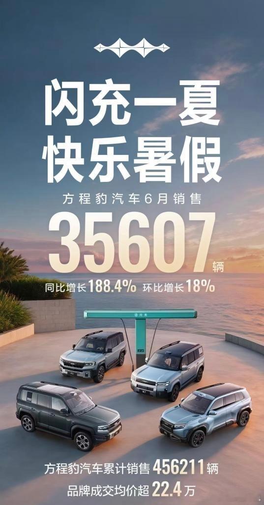 新能源车市场竞争日趋白热化，行业分化正在不断加剧。比亚迪6月销量斩获403472