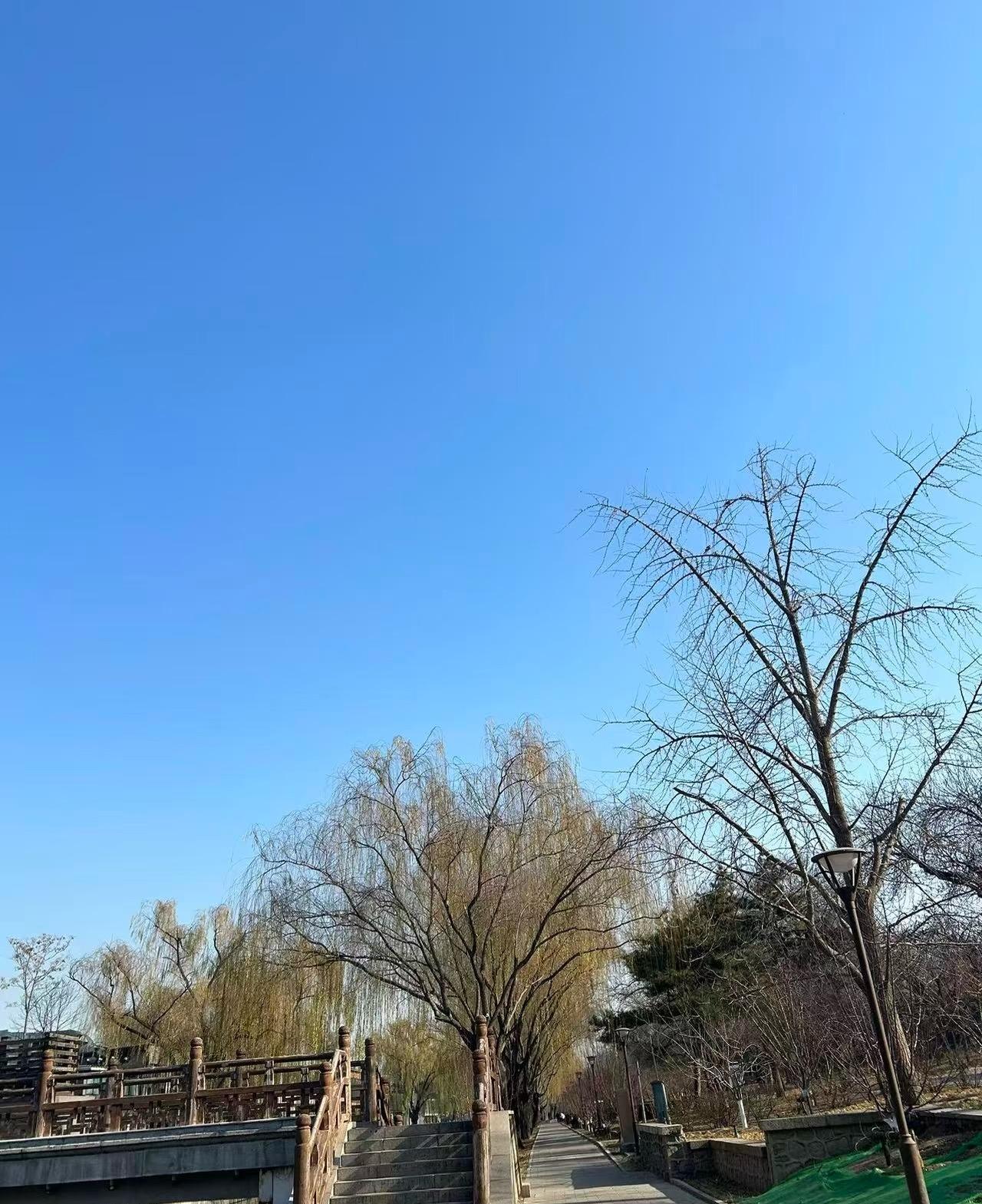 北京中小学教师编制将会迎来新改革。1:去小学编制化将会越来越严重，将会实行同工