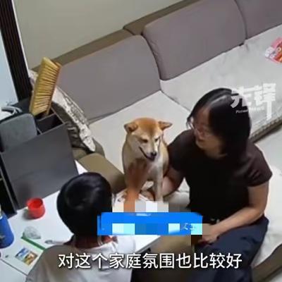 "笑不活了！"6月8日报道，山东青岛，一位妈妈抽查上六年级的儿子作业，结果发现孩