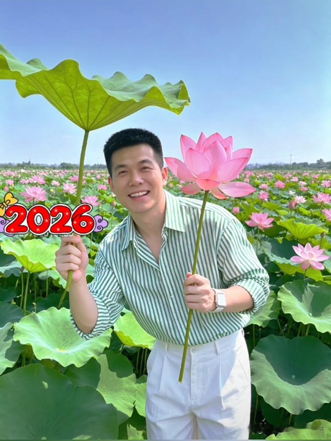 夏日美景随拍蓝天白云，荷塘里荷花盛开，亭亭玉立，美不胜收，赏心悦目。