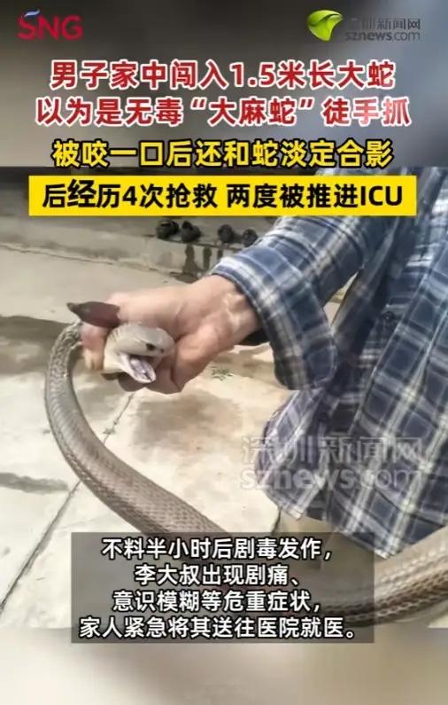 凭老经验辨蛇差点丢命！6月26日报道，云南，一名大叔把剧毒蛇当成无毒麻蛇徒手抓捕