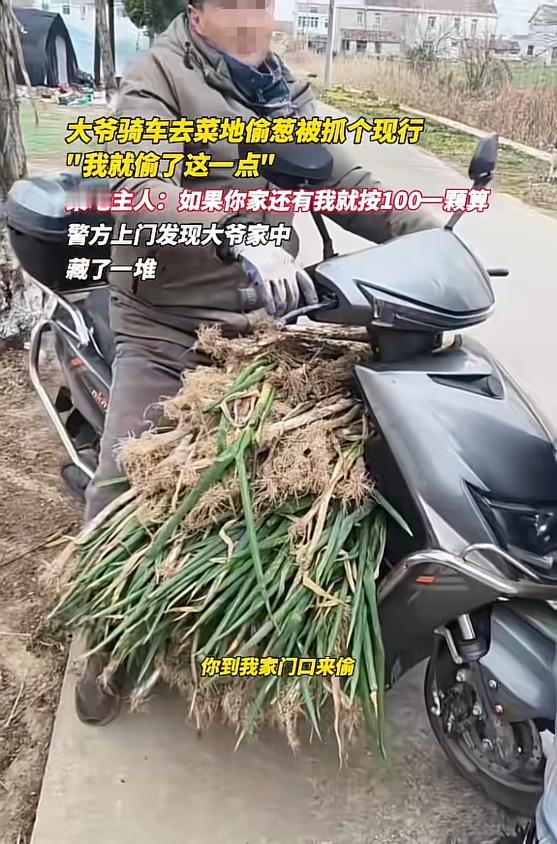 “白嫖还有理了？”近日，江苏南通，一女子照看菜地，发现有人偷葱，当即上前愤怒质问