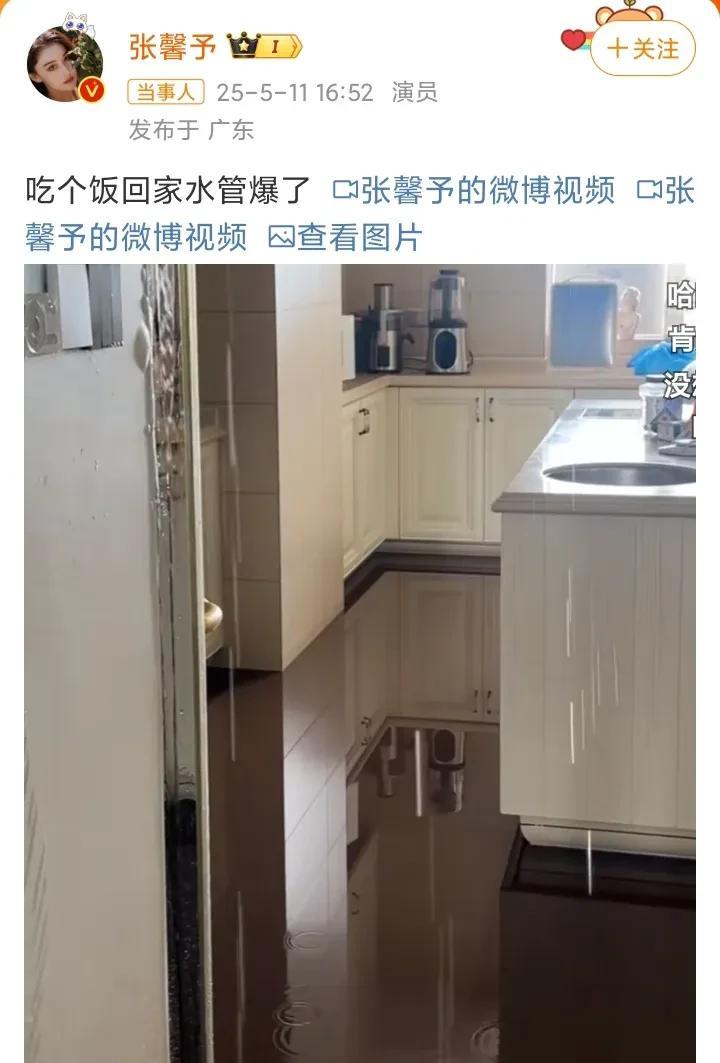 张馨予，家里被水淹了！5月11日16：52，知名女星张馨予冲上热搜，原因是她家