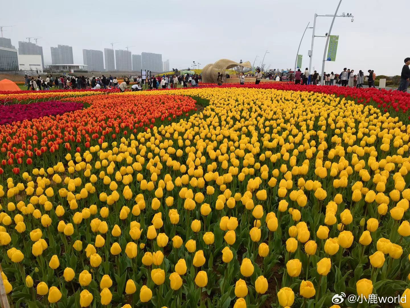宏观杠杆率2025年三季度中国宏观杠杆率为302.3%（非金融部门债务与名义GD
