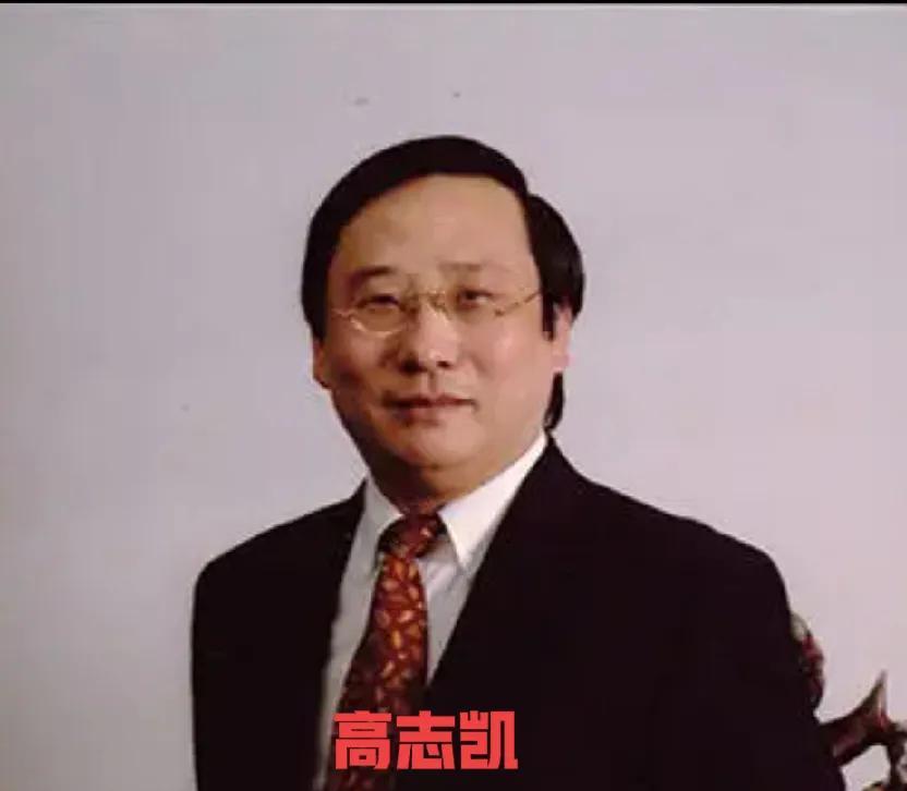 高志凯金句又出说：欧洲就是巨婴。这句话太贴切了，欧洲看着长大了却还是婴儿的思维，