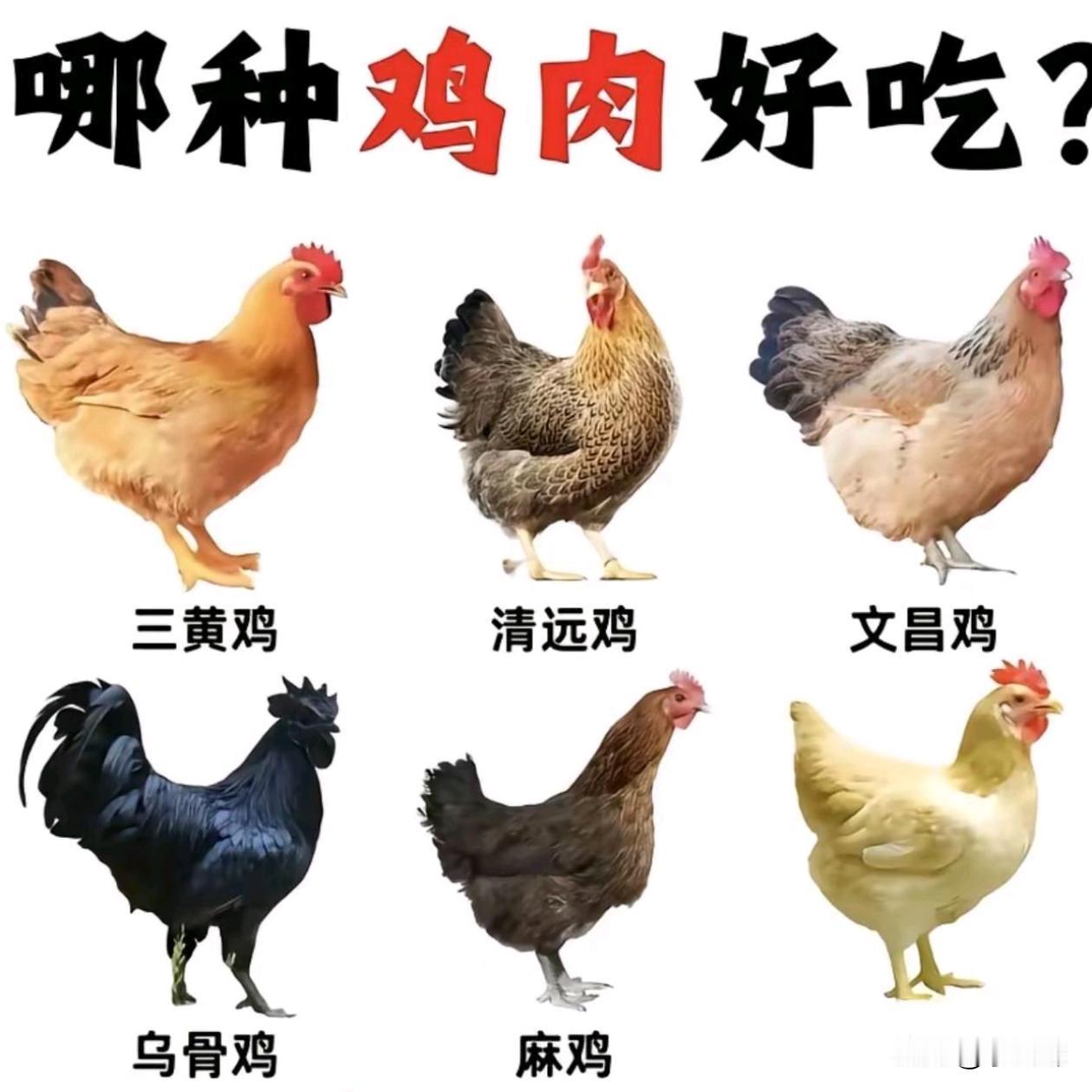 哪一种鸡肉好吃，你吃过几种