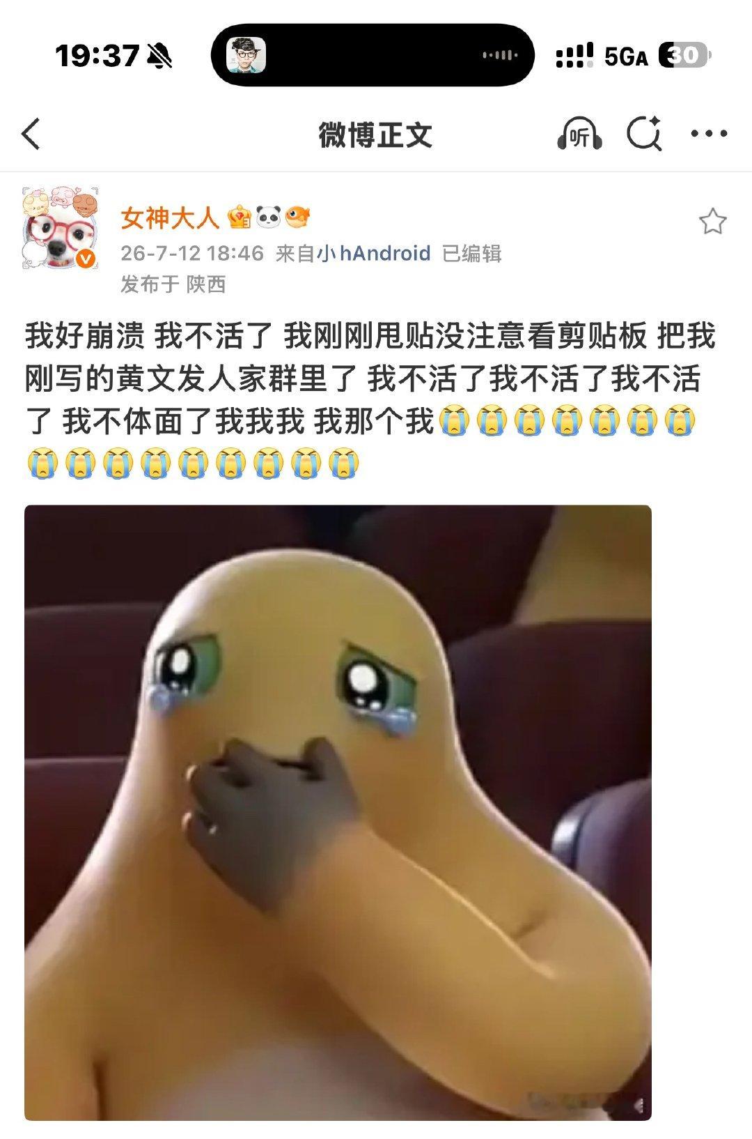 卧，我这傻子笑死我了