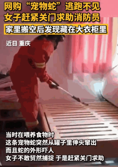 “太可怕了！”6月21日，重庆一女子觉得生活孤单，就打算养个宠物，不料，她没买狗