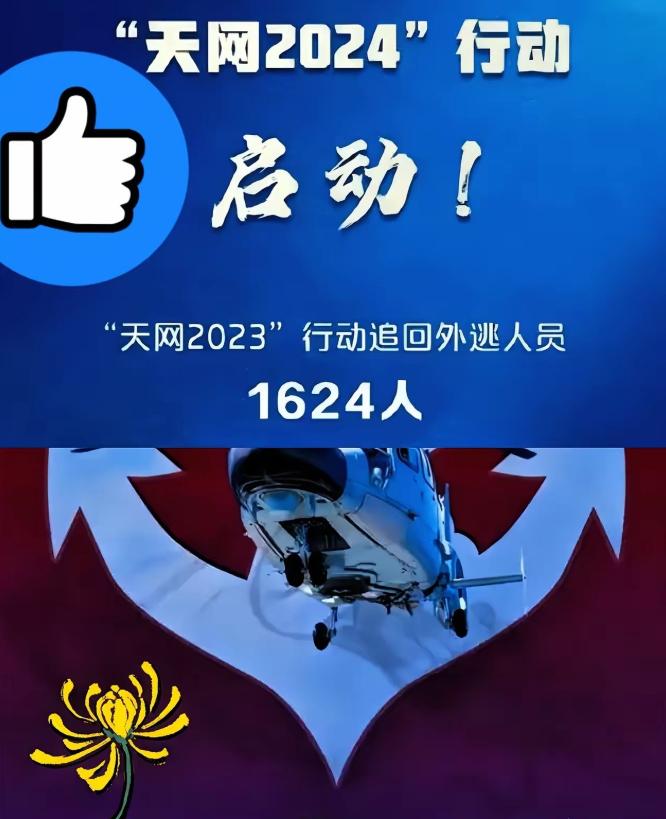 4月2号这消息一出，估计不少躲在国外的“老鼠”后脊梁骨得冒凉气。天网2026正式