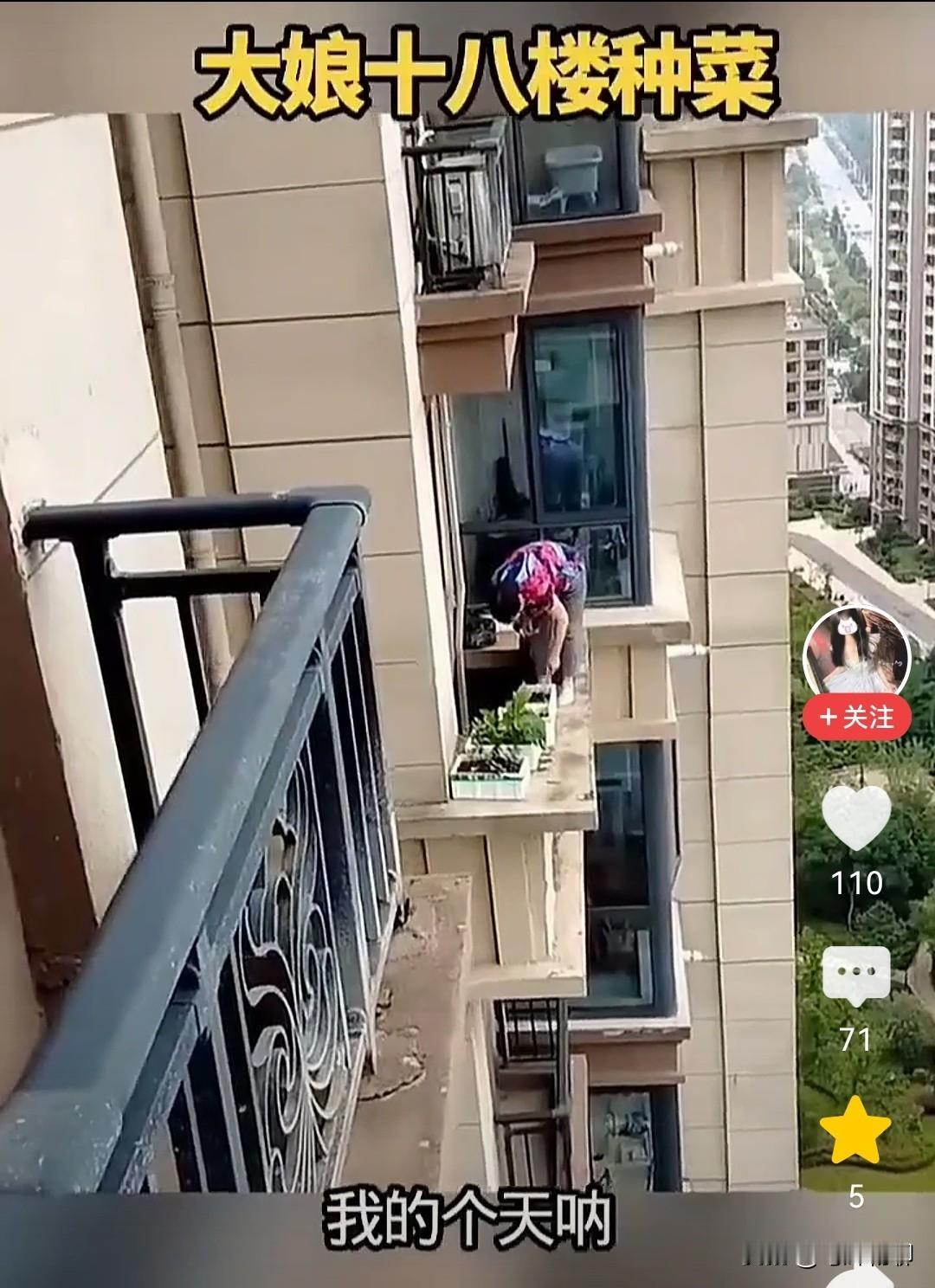 今天刷到个视频，视频中这位大娘还真是个狠人，把空调板当成自家菜园了，看看，就这么