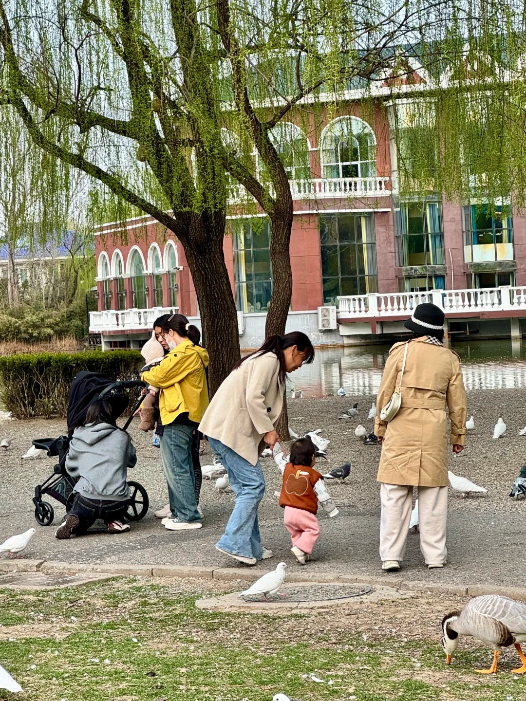 何穗带宝宝逛公园网友偶遇何穗带宝宝逛公园，小脸胖嘟嘟好可爱~