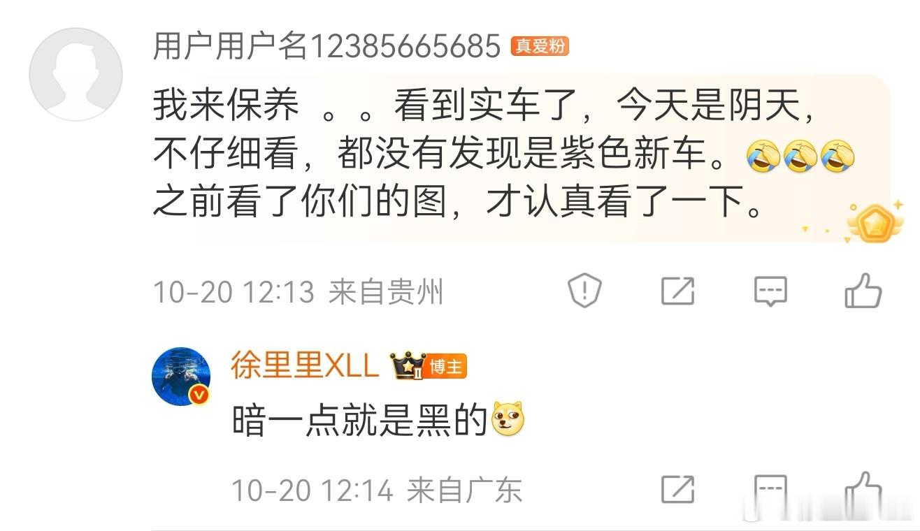 全新坦克400的这个紫色，实车质感非常高级。光线稍微暗一点点，看起来完全就是黑色