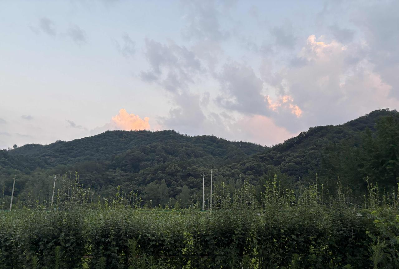 你以为农村是天然、纯净、空气好吗？不，我感到的是萧条、荒凉，以及暗夜处涌动的空
