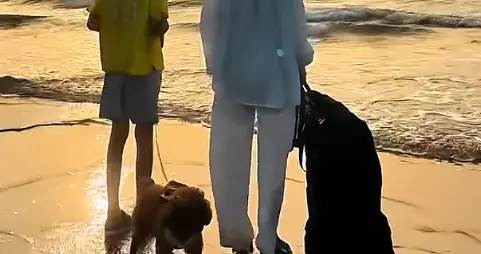 邓莎首度回应二胎争议：与前夫情深意重，承诺养老送终