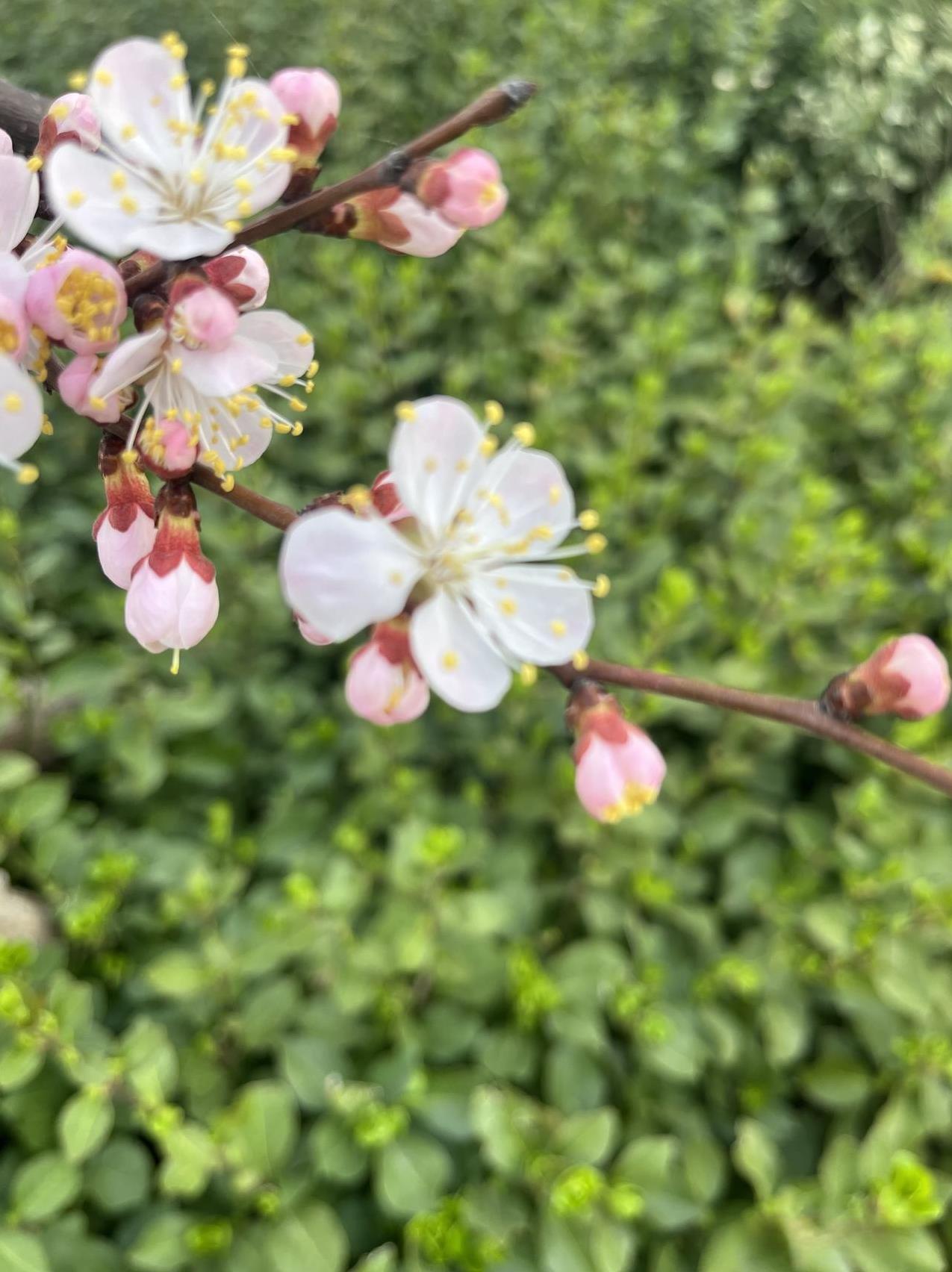 一段非常通透的话：“人生没有任何事情是值得焦虑的。哪怕明天你可能就死了，最好的应