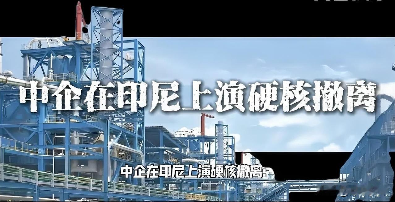 中国企业从印尼大举撤离，损失肯定极其惨重。应该学美国弄个评级机构，把中国以外所