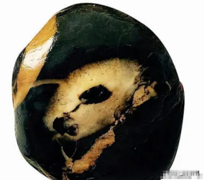 2003年，林先生儿子在青岛崂山海滩捡到一块石头，有人出70万，林先生不卖，又加