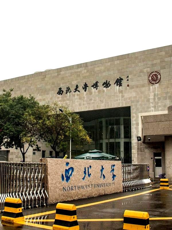 分数刚亮，志愿还没填热，陕西省教育厅一纸通报来了：西北大学正在调查涉及贾浅浅的争