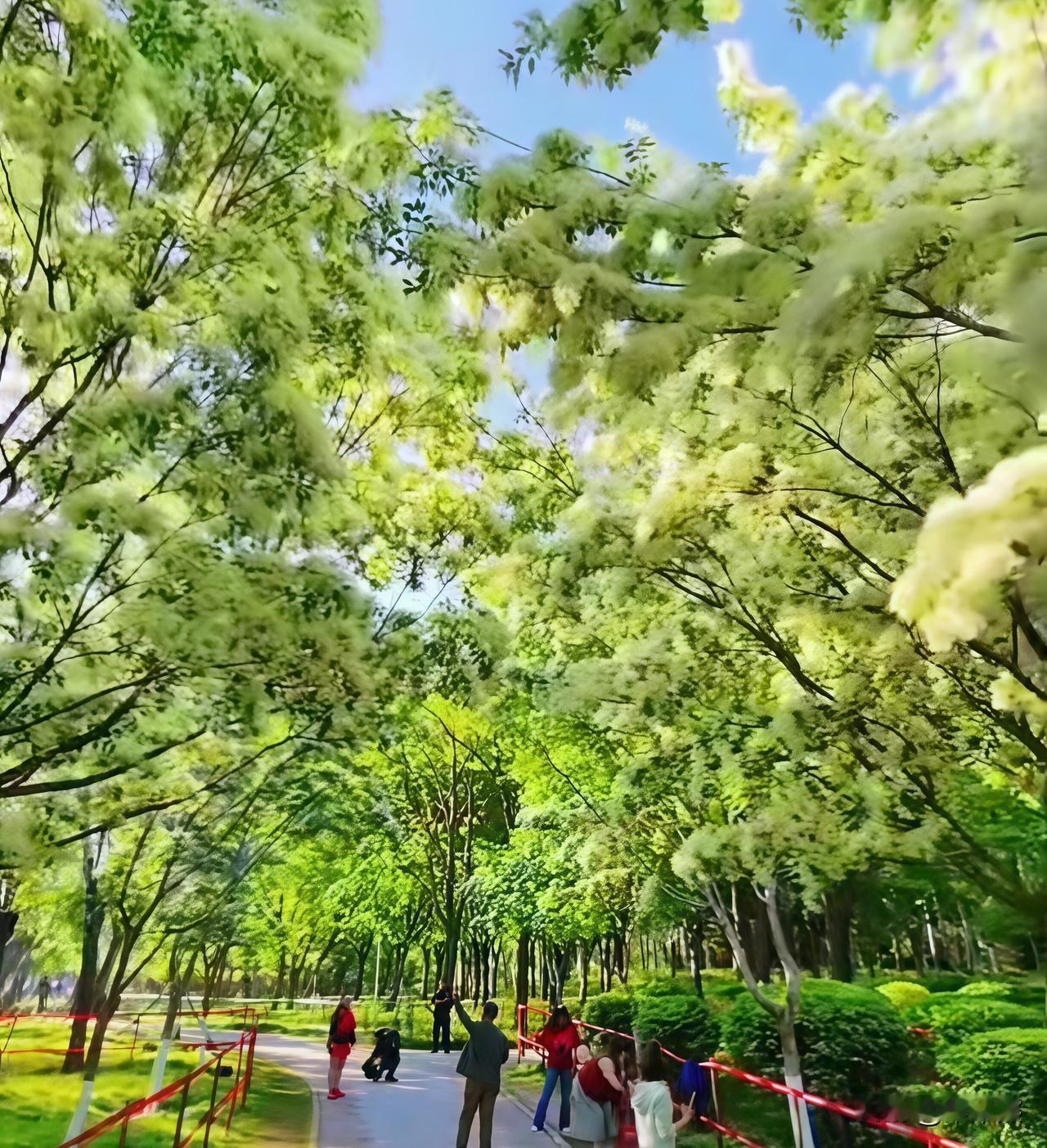 提醒大家一句，5月5日这天别瞎折腾五一小长假出去人挤人，是不是感觉比上班还累