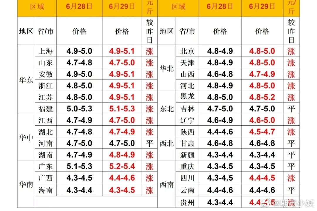 每日猪价