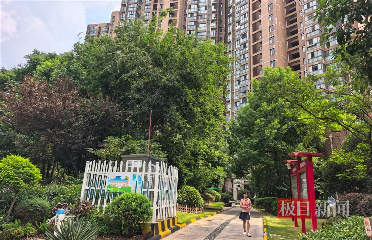 “离谱不”？武汉一小区楼道瓷砖空鼓脱落，找外面施工队翻新张口就要380万，业