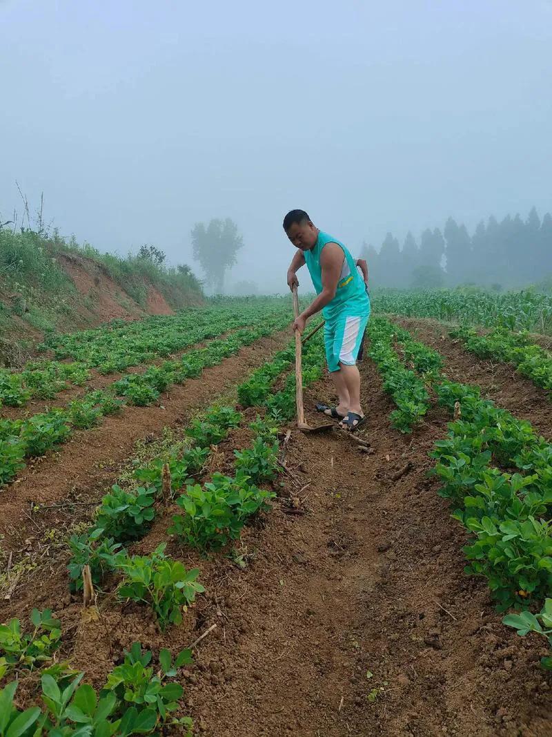 这个医生医术绝对精湛[赞]1月14日，一媒体报道，浙江省台州市一40多岁未婚男