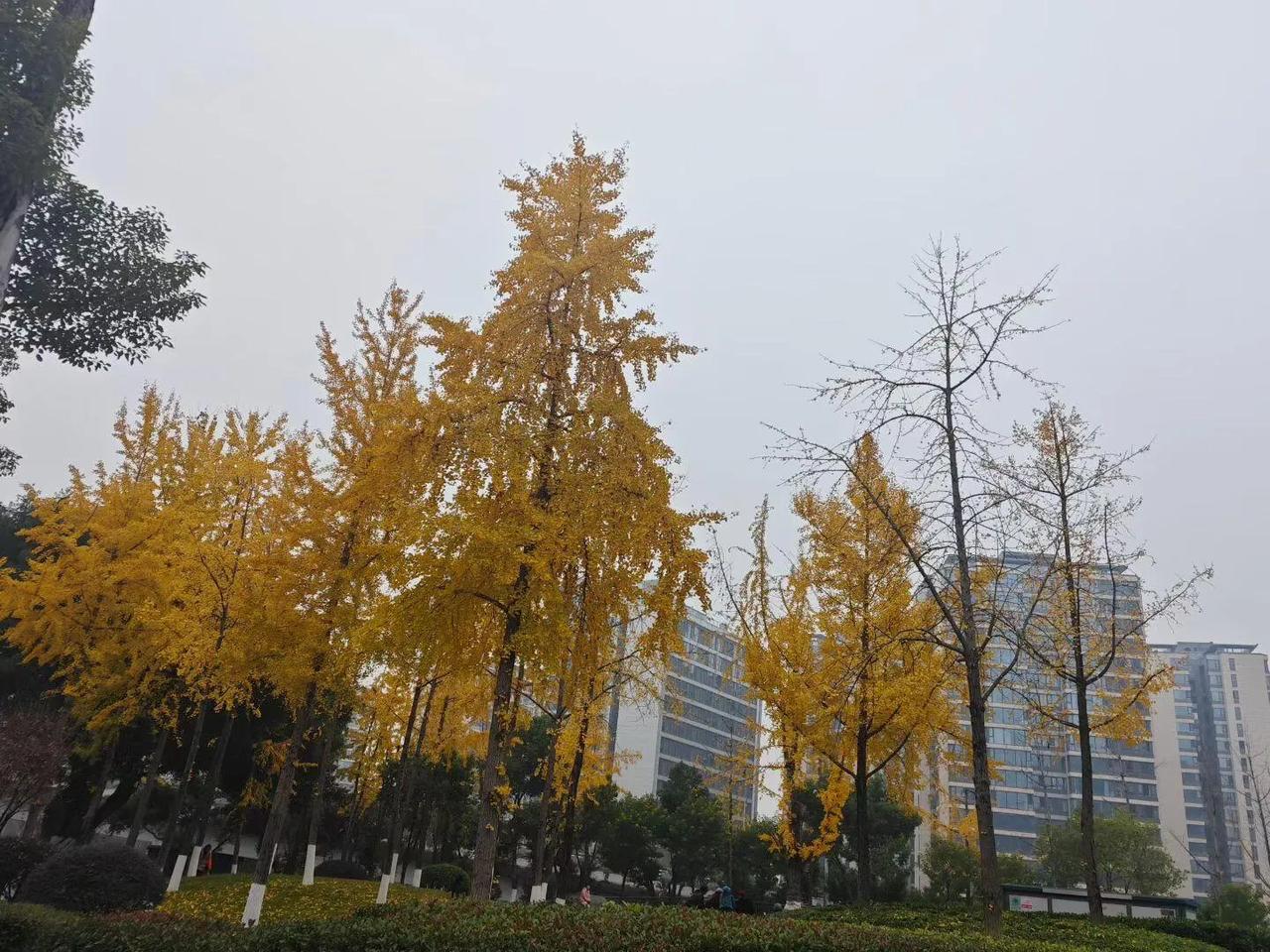 我表哥表嫂都是普通上班族，表嫂一个月工资4800块，表哥能挣5900块，俩人加起