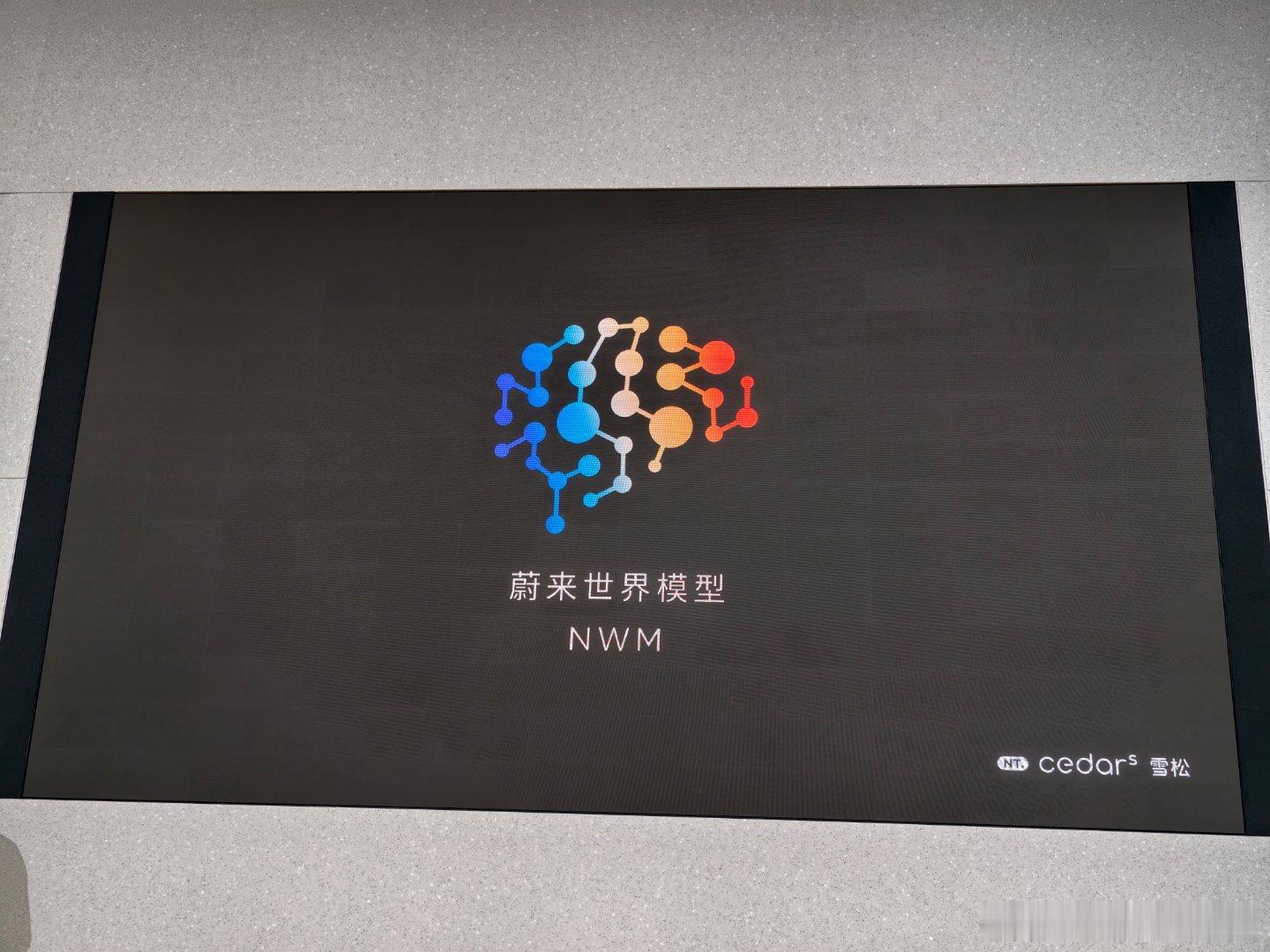 你喜欢这样的蔚来世界模型吗？减少事故，解放精力降低事故率甚至联合保险公司降低保费