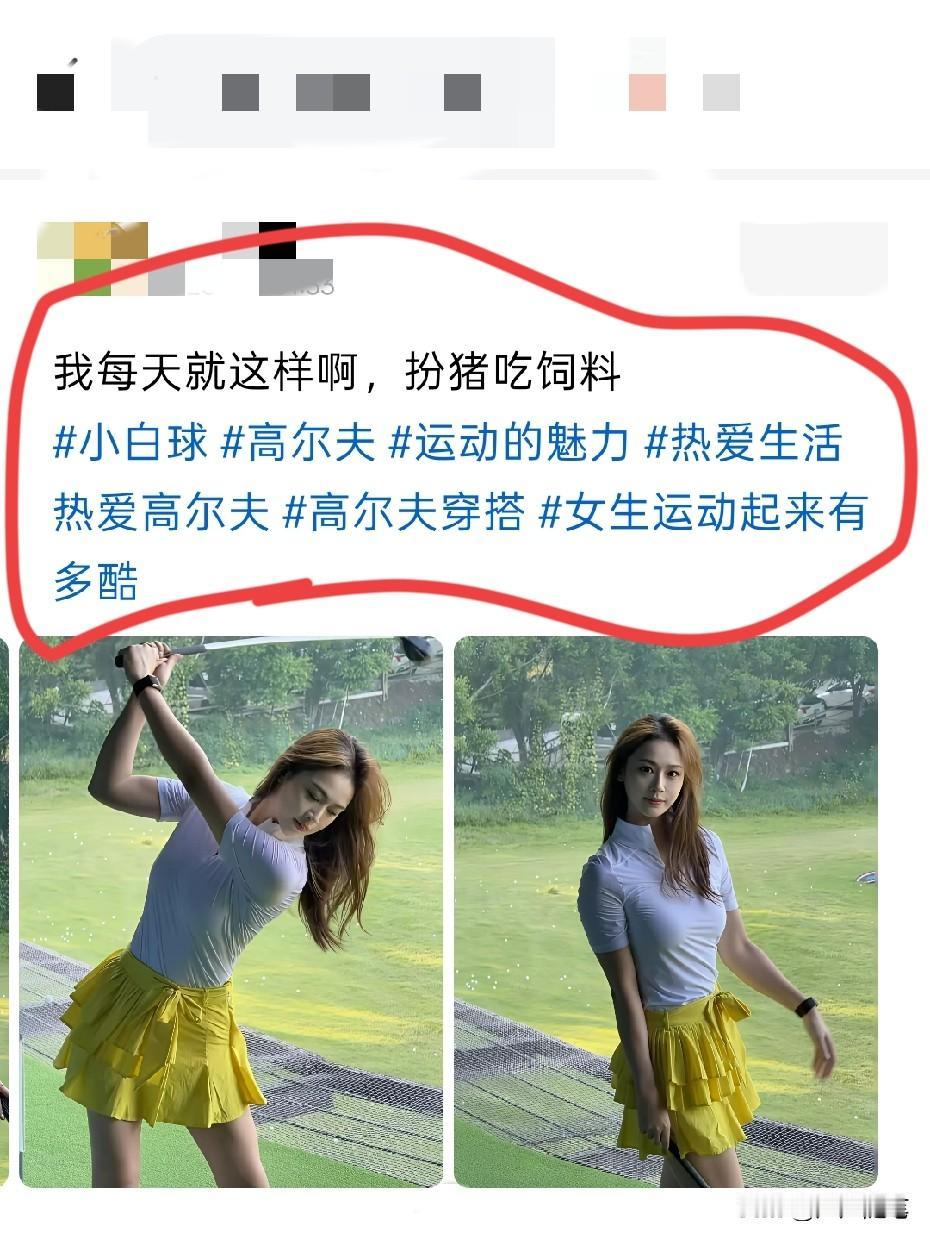 不用扮，猪本来就会吃饲料。