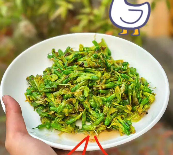 云南的特色美食，听说非常贵。有知道叫什么吗？