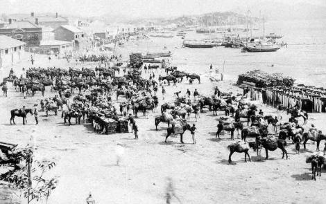 甲午战争日军战死仅1132人，而因病死亡达11894人而日俄战争日军战