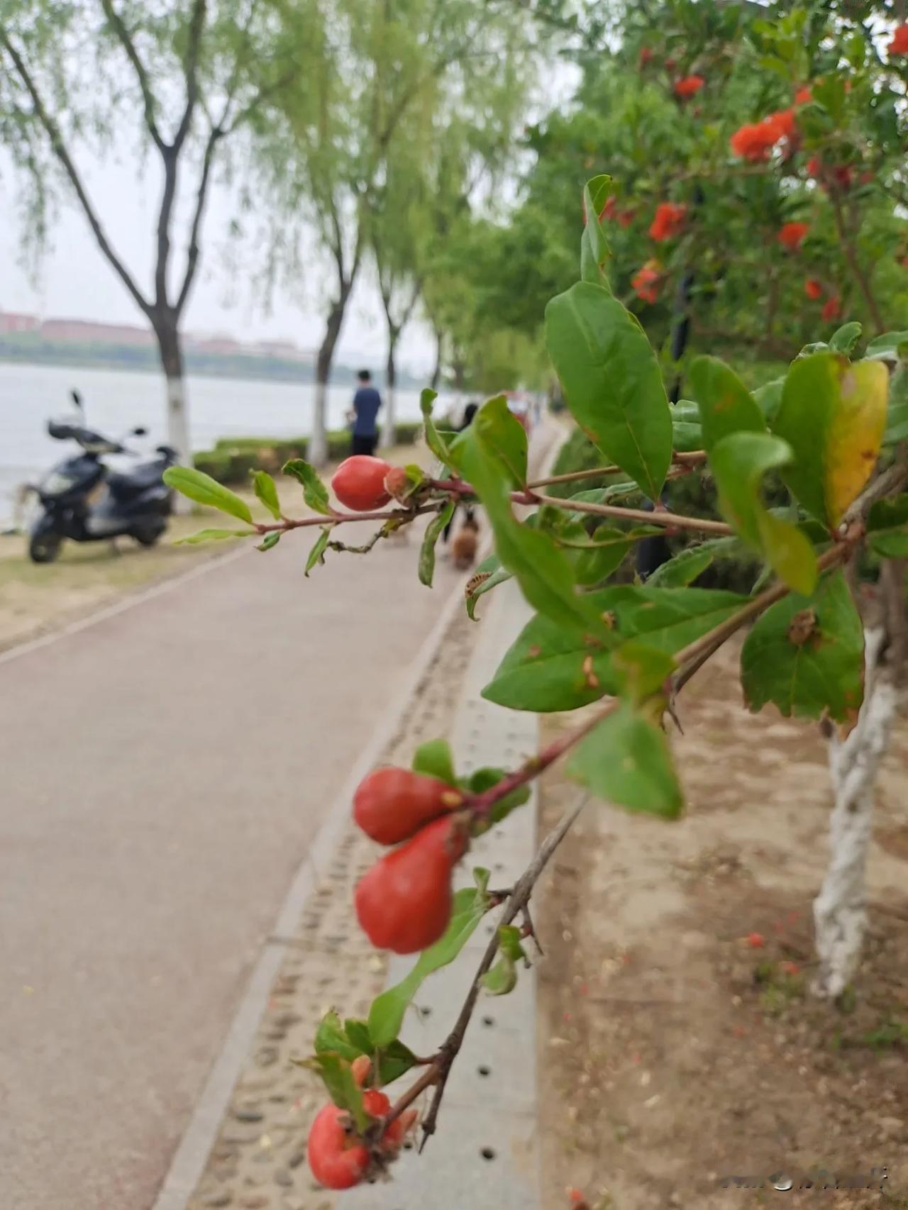 患难夫妻恩爱深。有个朋友20岁那年就结婚了，结婚18天，她丈夫就因为帮朋友打架，