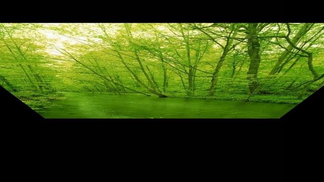 萨克斯.一帘幽梦
