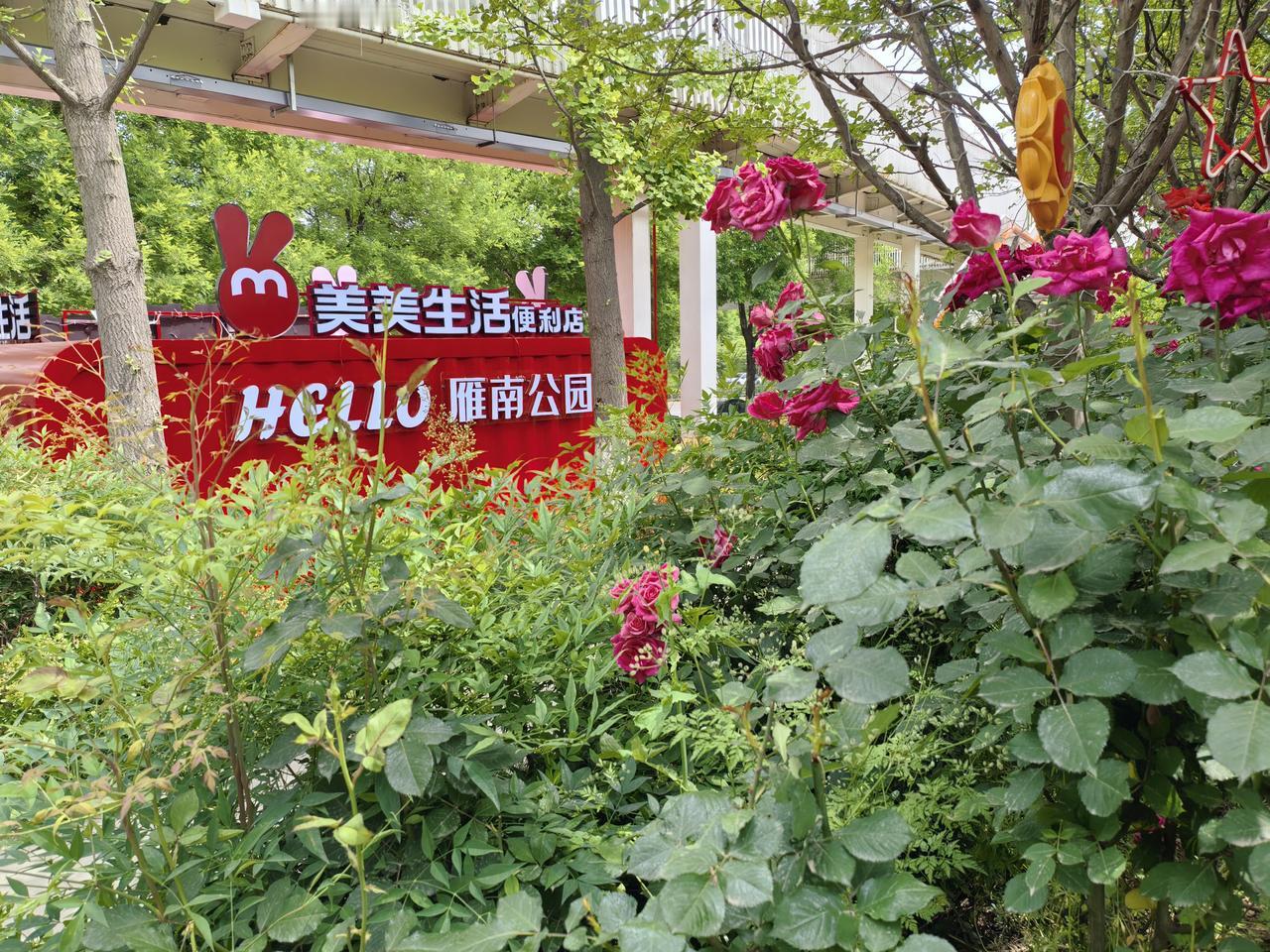 【西安超大型免费公园】西安雁南公园东临子午大道，西接西沣路，北连南三环，南近西部