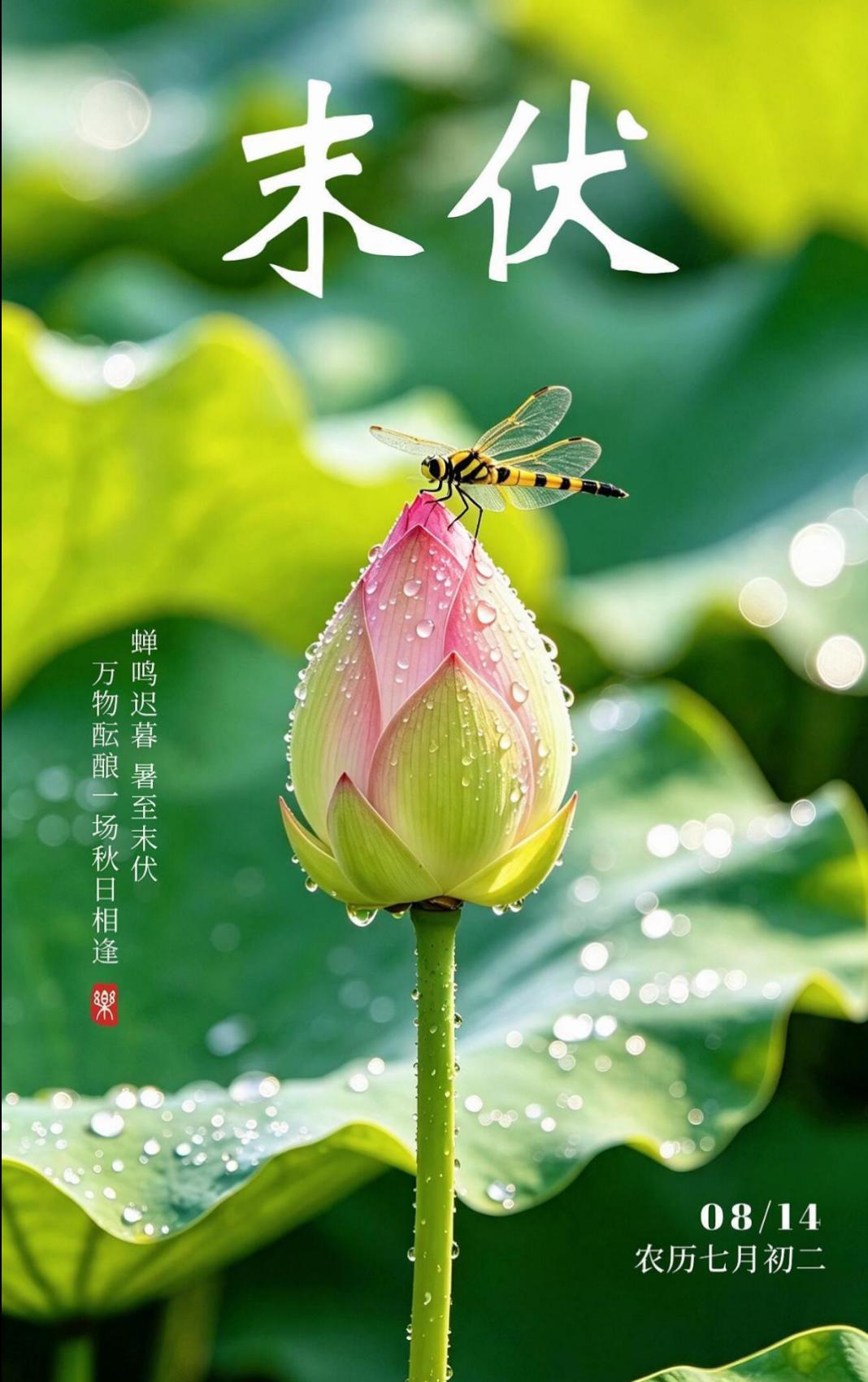 🌻时序流转，秋意初临，告别盛夏的炽热喧嚣，迎来末伏的恬淡清宁。在这个夏秋交替的